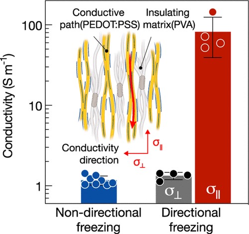 [85] Anisotropically Conductive Hydrogels With Directionally Aligned 